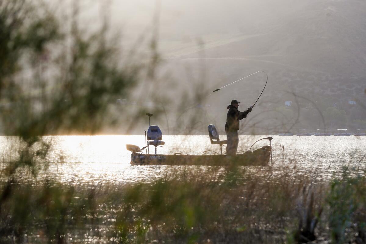 Castaic Lake 