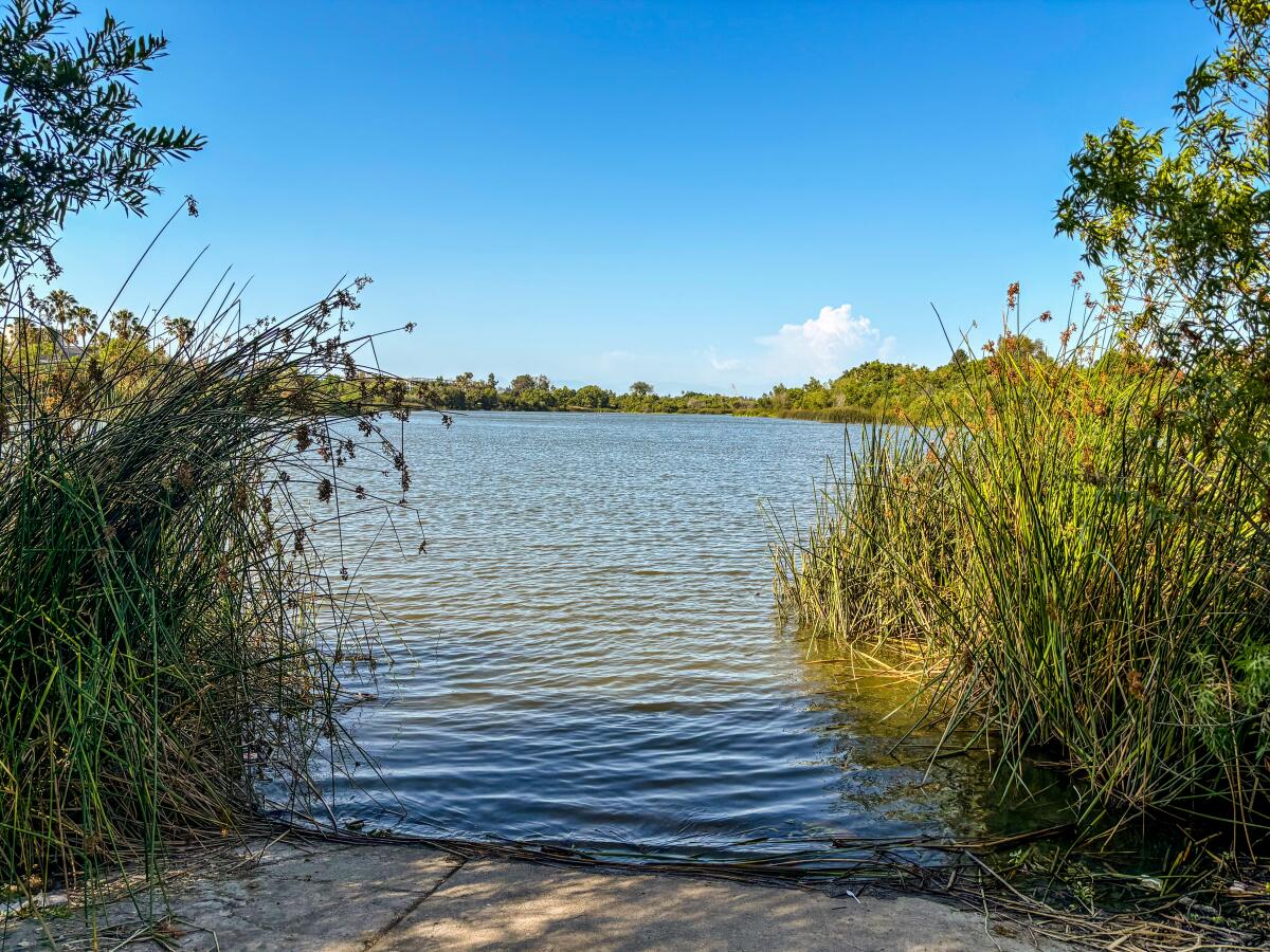 A view of Machado Lake