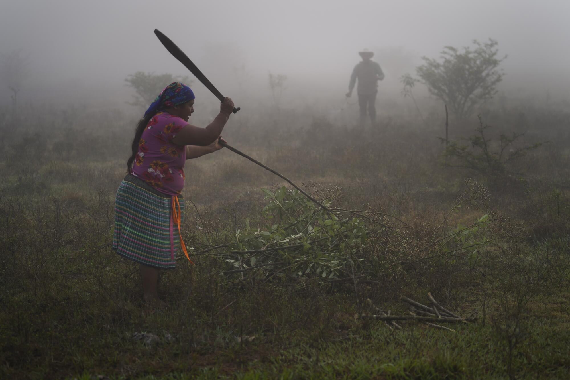 A woman holds up a machete while clearing weeds