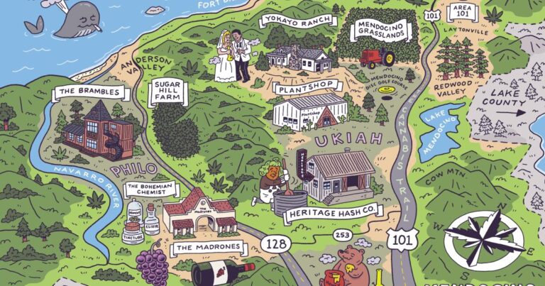 A roadmap to cannabis tourism spots in Mendocino weed country