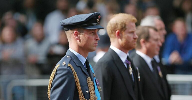 Prince William & Prince Harry Avoid Each Other At Uncle’s Funeral