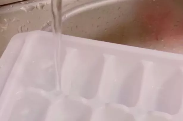 We've been making ice cubes the wrong way as viral video shows simple solution