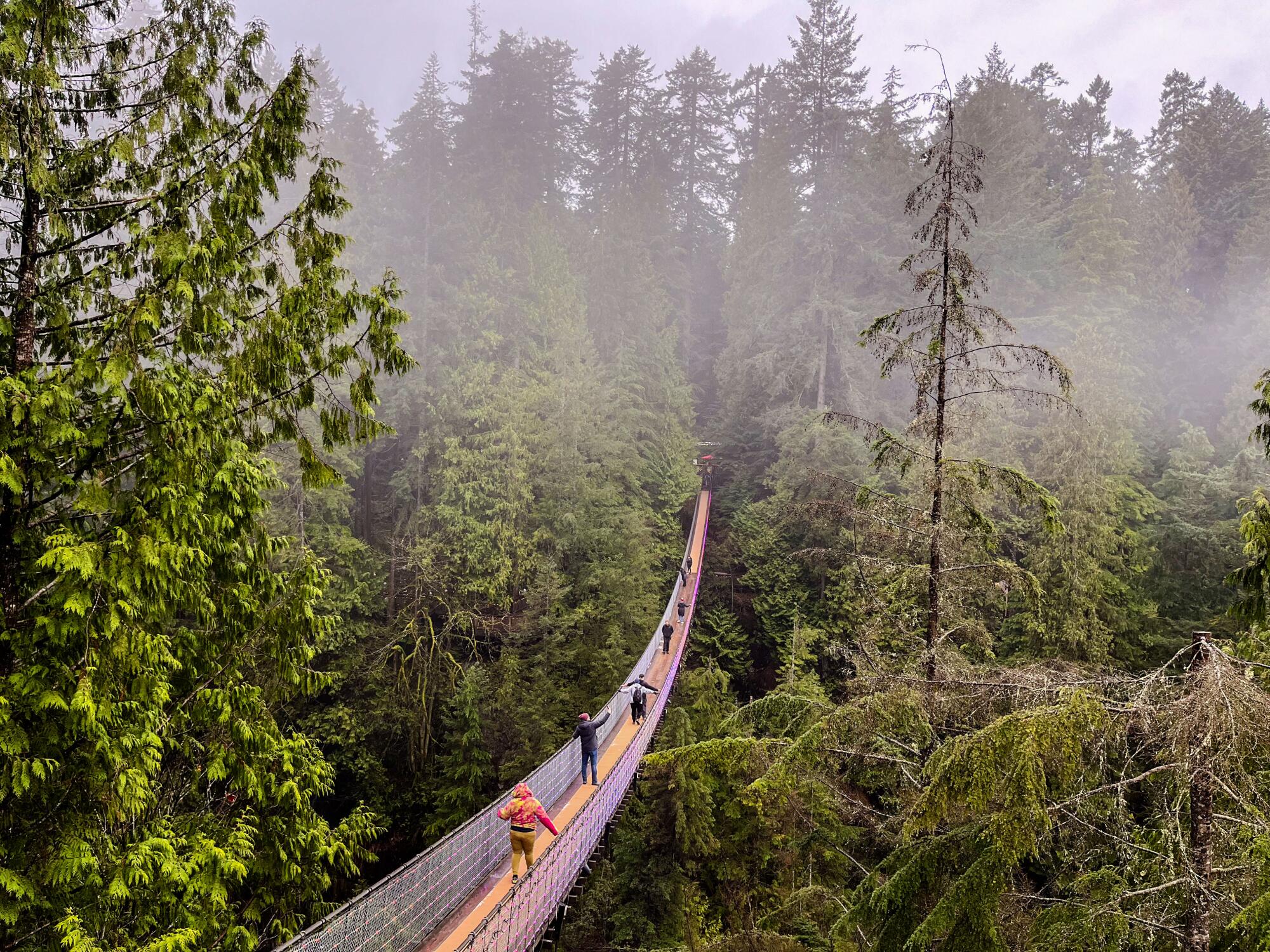 Capilano Suspension Bridge Park, Vancouver.