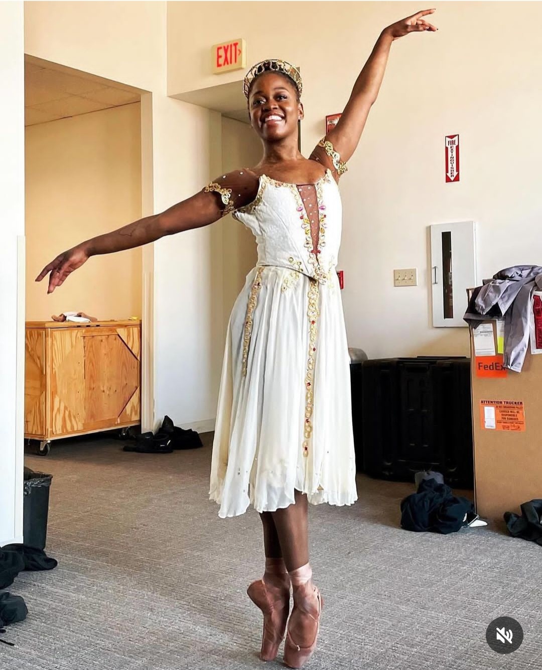 Star ballerina Michaela de Prince dies suddenly at the age of 29