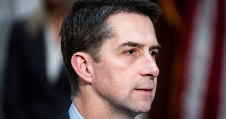 GOP Sen. Tom Cotton says Republicans are ‘open’ to Trump’s IVF plan but it should be ‘fiscally evaluated’