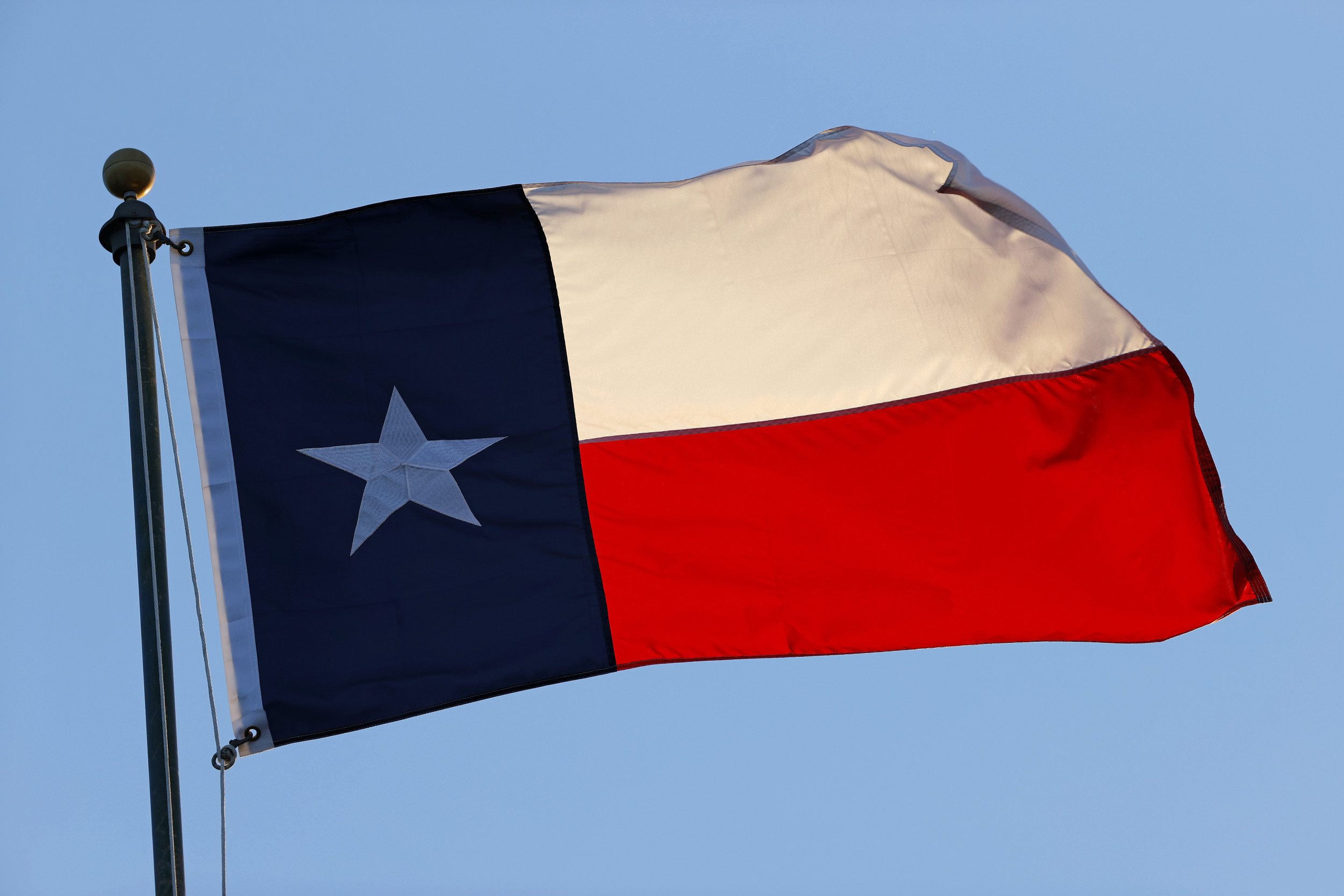 Texas flag stock