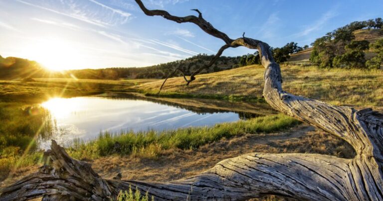 The magical California state park that doesn’t allow visitors