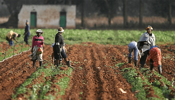 Women farmers seek increased govt’s funding in agric sector