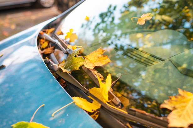 Drivers could be hit with £1,000 fine for breaking little-known autumn road rule