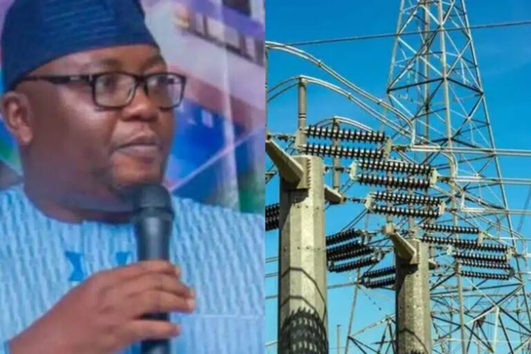 Tinubu’s minister explains why the national electricity grid will continue to collapse