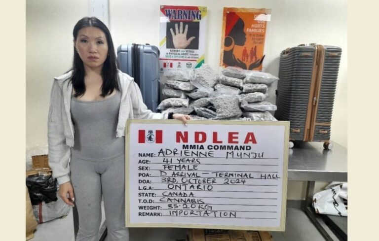 NDLEA Arrests Businessmen, Canada Based Nurse At Lagos Airport, Seize 400g of Cocaine, 35kg of Cannabis