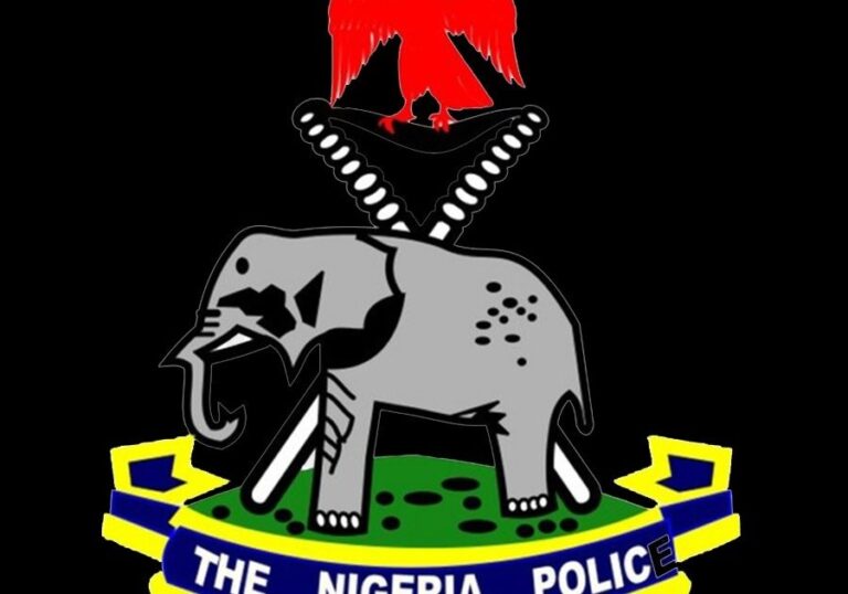 Police hunt Lagos father for beaten children to stupor