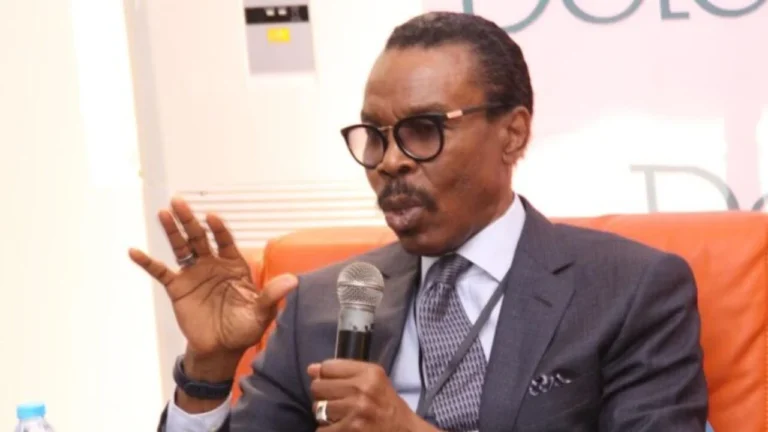 Rewane: Sustained Monetary Tightening Could Hamper Nigeria’s Economic Growth