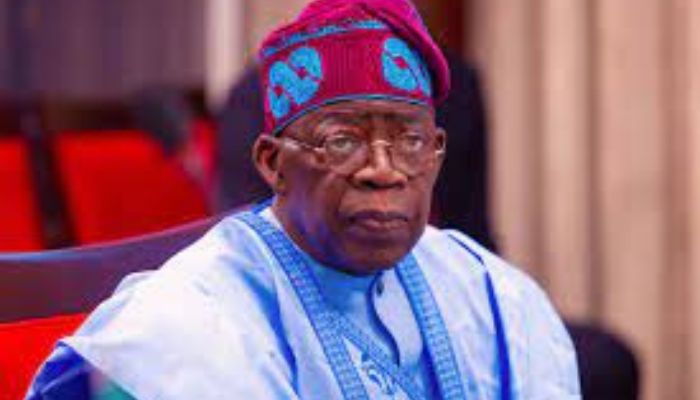 Six key provisions in Tinubu’s proposed tax bill