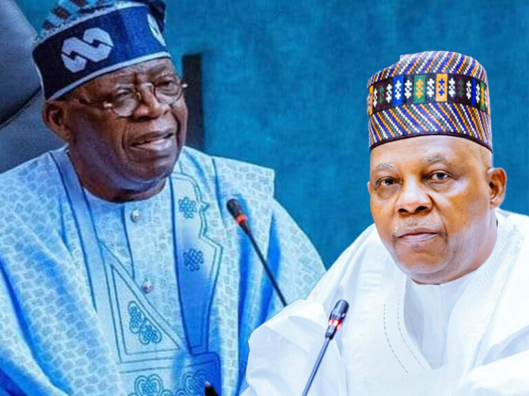 Tinubu Appoints Shettima To Lead Nigeria’s Delegation To 2024 Commonwealth Meeting