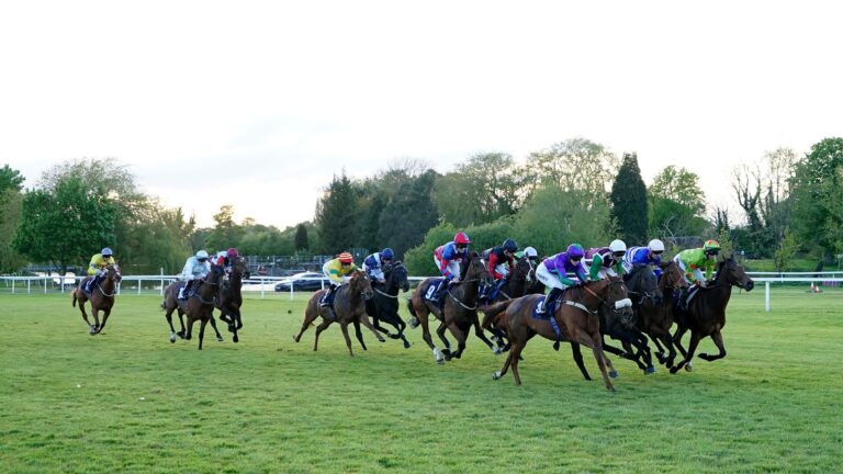 Windsor hosts an eight-race evening card