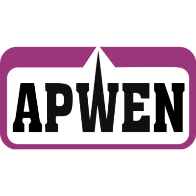 apwen association of professional women engineers of nigeria