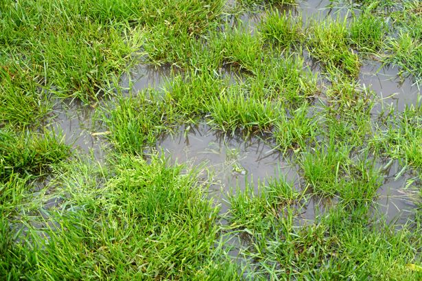 Biggest lawn care mistakes to avoid in winter explained by expert