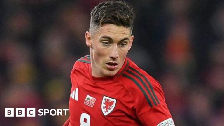 Harry Wilson: Joe Allen saw ‘brilliant’ future for Wales midfielder