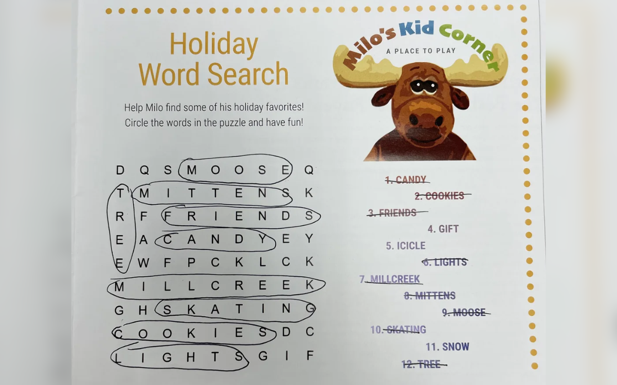 An impossible kids word search puzzle.