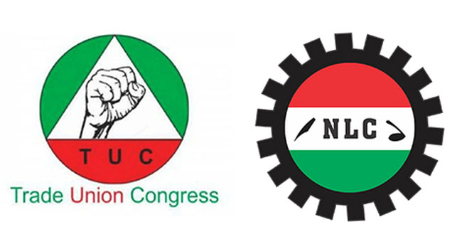 TUC and NLC logos