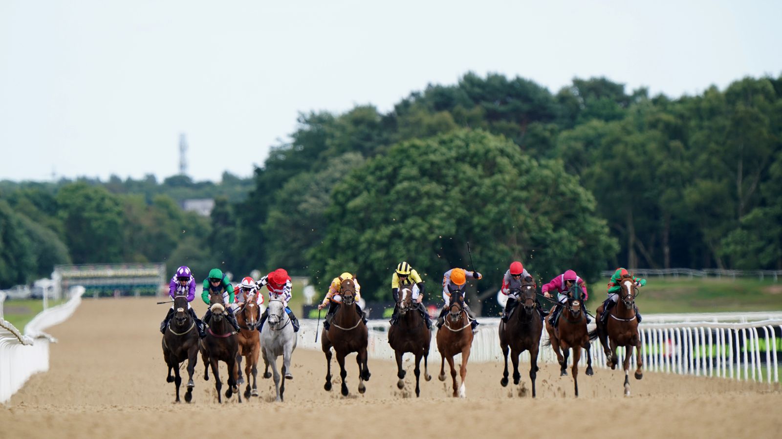 Newcastle hosts racing on Thursday