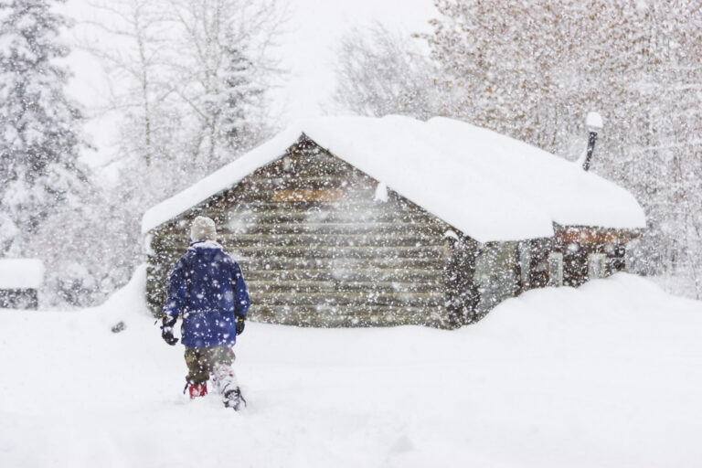 Snowstorm